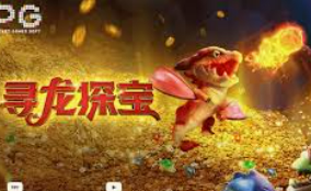 ayx大厅手机版登录入口最新版