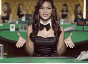 ayx大厅手机版登录入口电脑免费版